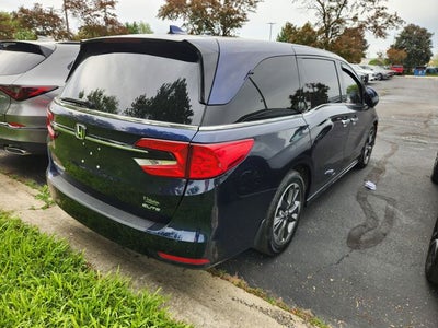 2023 Honda Odyssey Elite