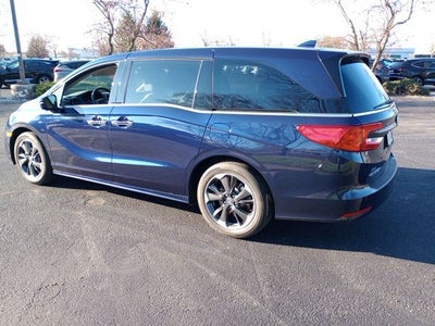 2024 Honda Odyssey Elite