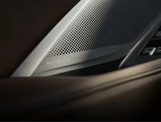 Bang & Olufsen speaker grille set into the door trim of an Acura cabin